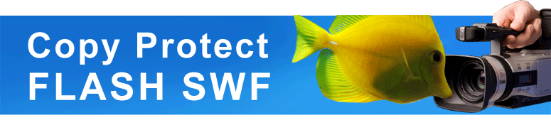 Copy Protect Flash SWF Video